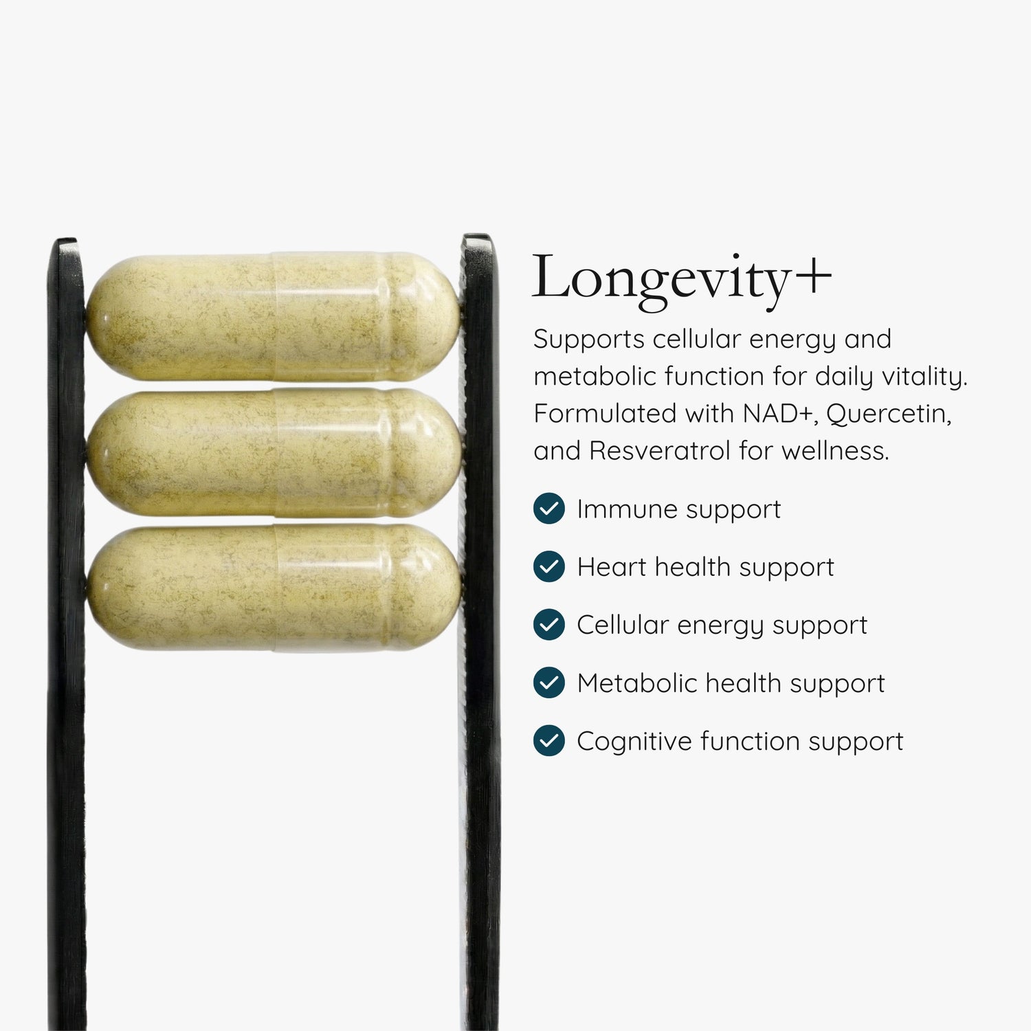 Longevity+