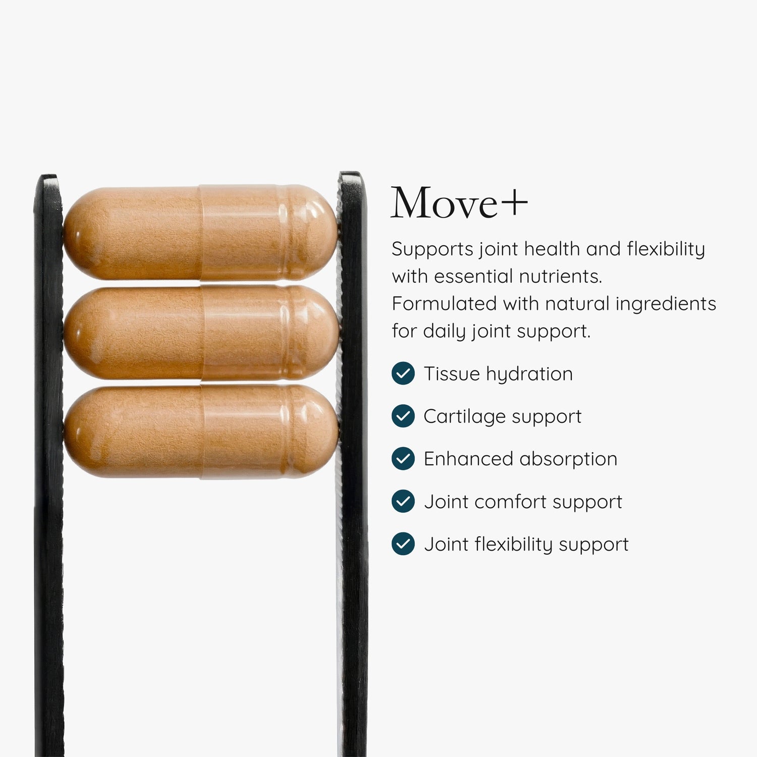 Move+